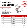 Ultra Soft Rolled Leather Dog Collar Soft Padded Dog Collars for Medium Large Dogs Male and Female Dog Collar 18-21 inch Pink Collar Neck - Waudog