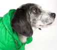 Lightweight Adjustable 'Sporty Avalanche' Pet Coat - Large