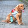 Pet Water Drinking Fountain Lock Water Pet Accompanying Cup Outdoor Leakproof Travel Bottle Drinking Fountain - green